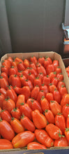 Load image into Gallery viewer, VEGETABLE TOMATO san marzano paste