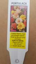 Load image into Gallery viewer, PORTULACA happy hour mix