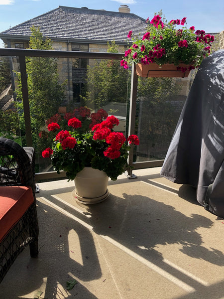 Donna’s outside decor!