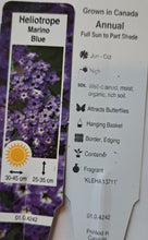Load image into Gallery viewer, HELIOTROPE marino blue
