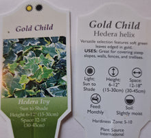 Load image into Gallery viewer, Ivy Hedera English gold child

