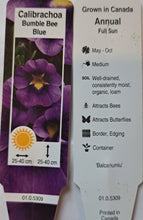 Load image into Gallery viewer, CALIBRACHOA bumble bee blue
