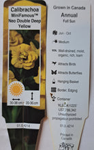 Load image into Gallery viewer, CALIBRACHOA mini famous neo double deep yellow

