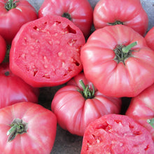 Load image into Gallery viewer, VEGETABLE TOMATO Brandywine [large]
