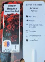 Load image into Gallery viewer, BEGONIA  BK collection vermillion red
