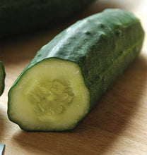 Load image into Gallery viewer, VEGETABLE CUCUMBER patio snacker
