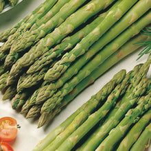 Load image into Gallery viewer, VEGETABLE Asparagus viking
