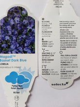 Load image into Gallery viewer, LOBELIA magadi dark blue
