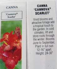 Load image into Gallery viewer, CANNA cannova scarlet green leaf
