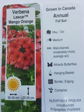 Load image into Gallery viewer, VERBENA lascar mango orange
