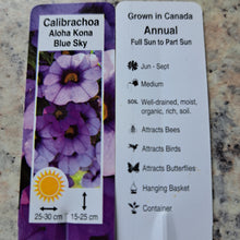 Load image into Gallery viewer, CALIBRACHOA aloha kona blue sky
