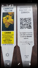 Load image into Gallery viewer, CANNA cannova yellow
