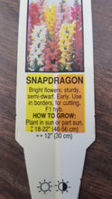 Load image into Gallery viewer, SNAPDRAGON-----MEDIUM ribbon mix
