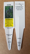 Load image into Gallery viewer, HERB ROSEMARY offincinalis
