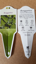 Load image into Gallery viewer, HERB SAGE berggarten
