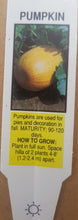 Load image into Gallery viewer, VEGETABLE PUMPKIN regular jack of all trades
