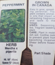 Load image into Gallery viewer, HERB PEPPERMINT
