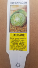 Load image into Gallery viewer, VEGETABLE CABBAGE early copenhagen
