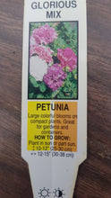 Load image into Gallery viewer, PETUNIA [DOUBLE] glorious mix [regular]
