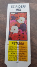 Load image into Gallery viewer, PETUNIA ez rider mix [regular]

