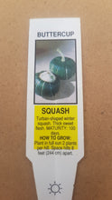 Load image into Gallery viewer, VEGETABLE SQUASH buttercup
