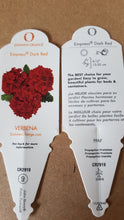 Load image into Gallery viewer, VERBENA vanessa red
