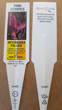 Load image into Gallery viewer, SETCREASEA---------pink/purple stripes
